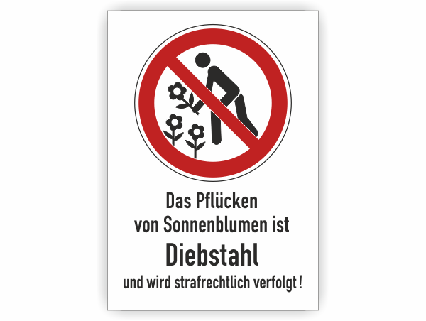 Sonnenblumen Pflücken verboten Schild